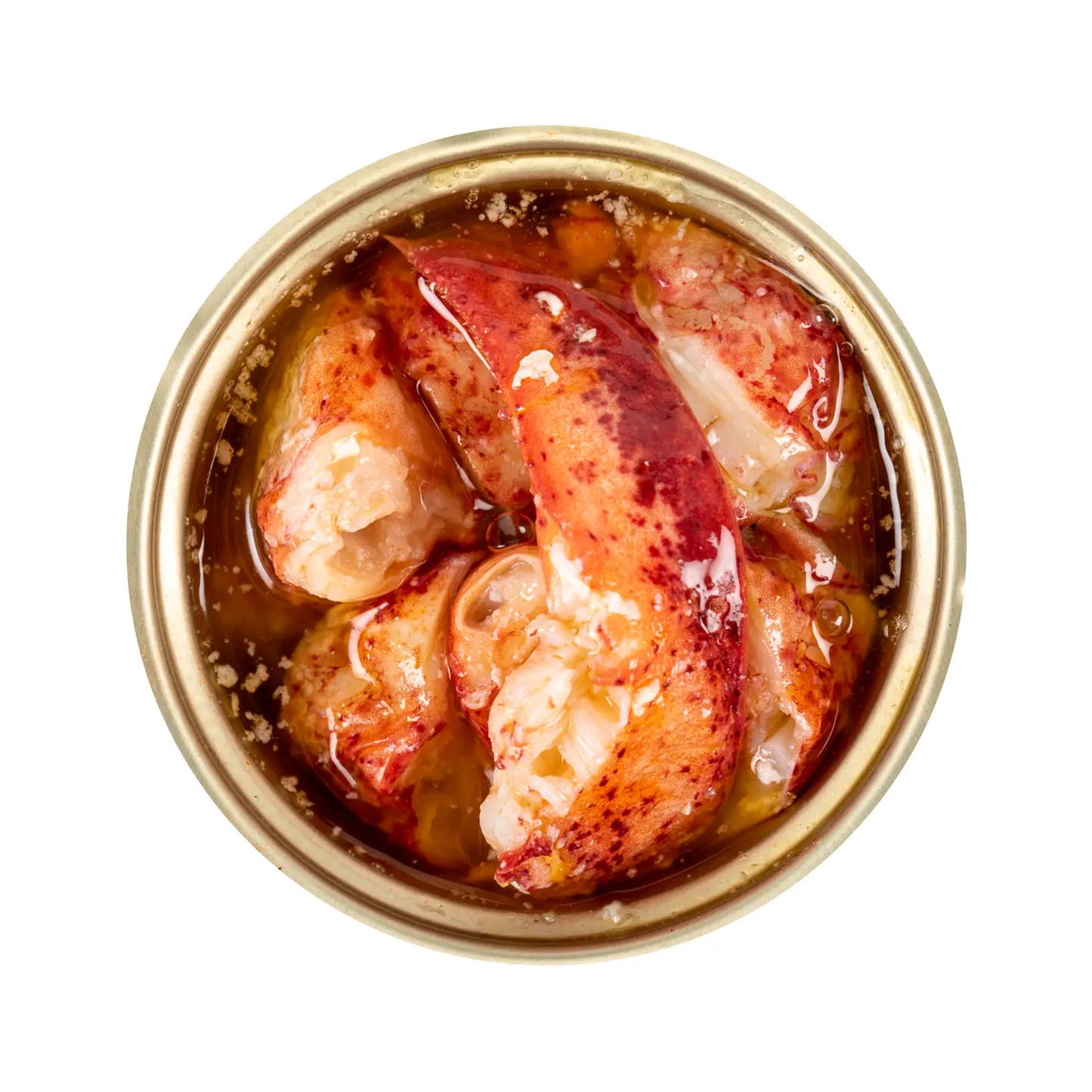 Atlantic Canadian Lobster