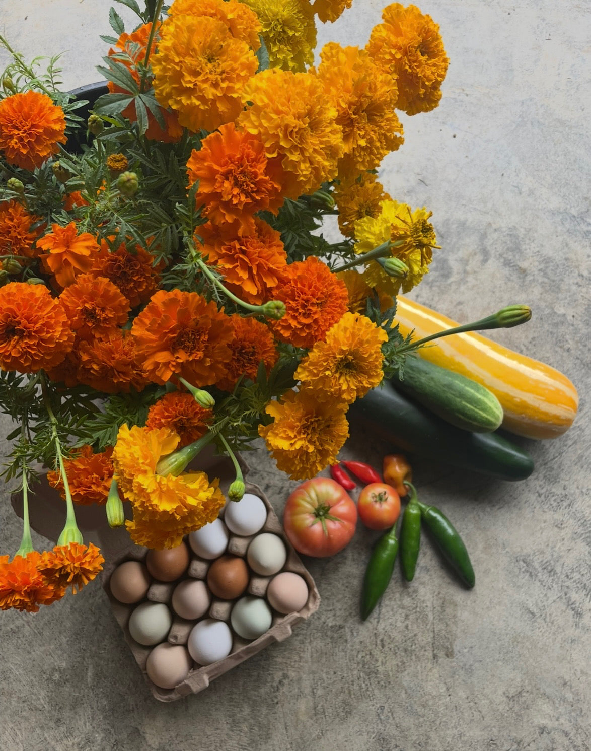 Collective Supper Club 7/31 6:30-8pm