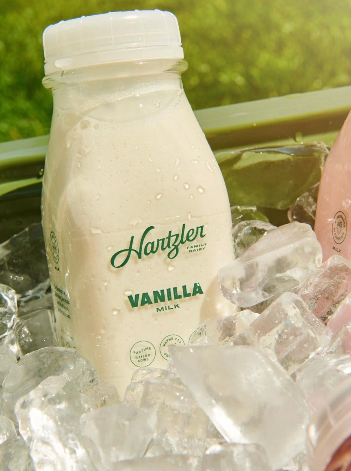 Vanilla Milk - Mini