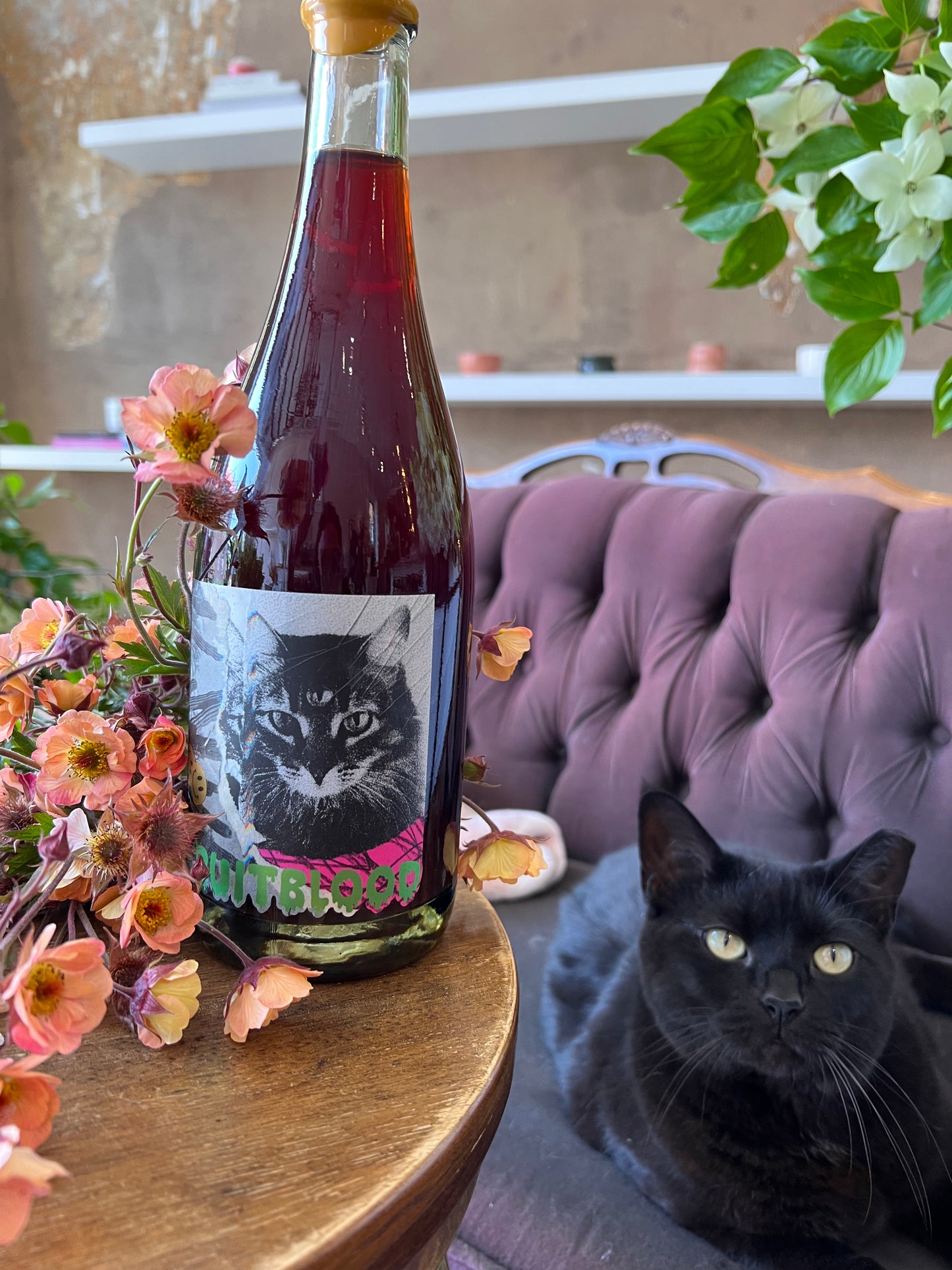 Feral Cat - Fruitblood