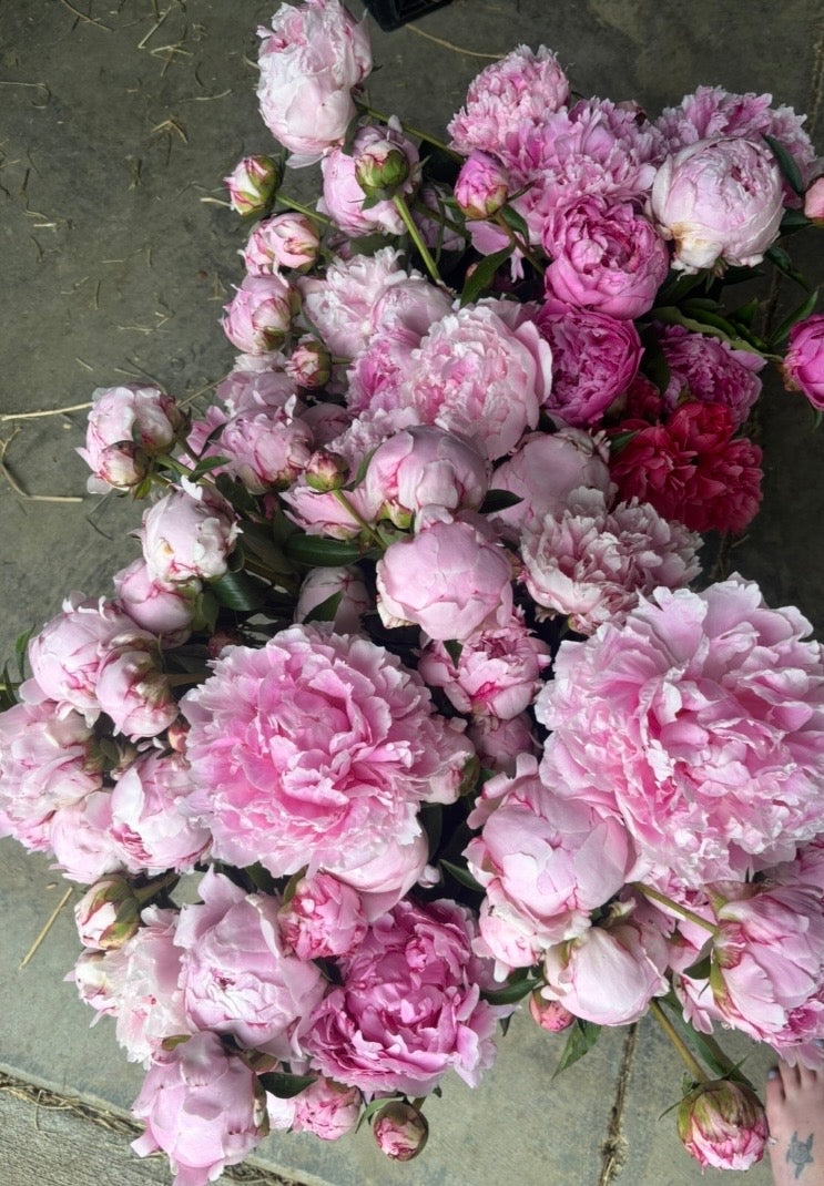 Flower Bar + Wine Flights! Every Friday in March from 2-6pm