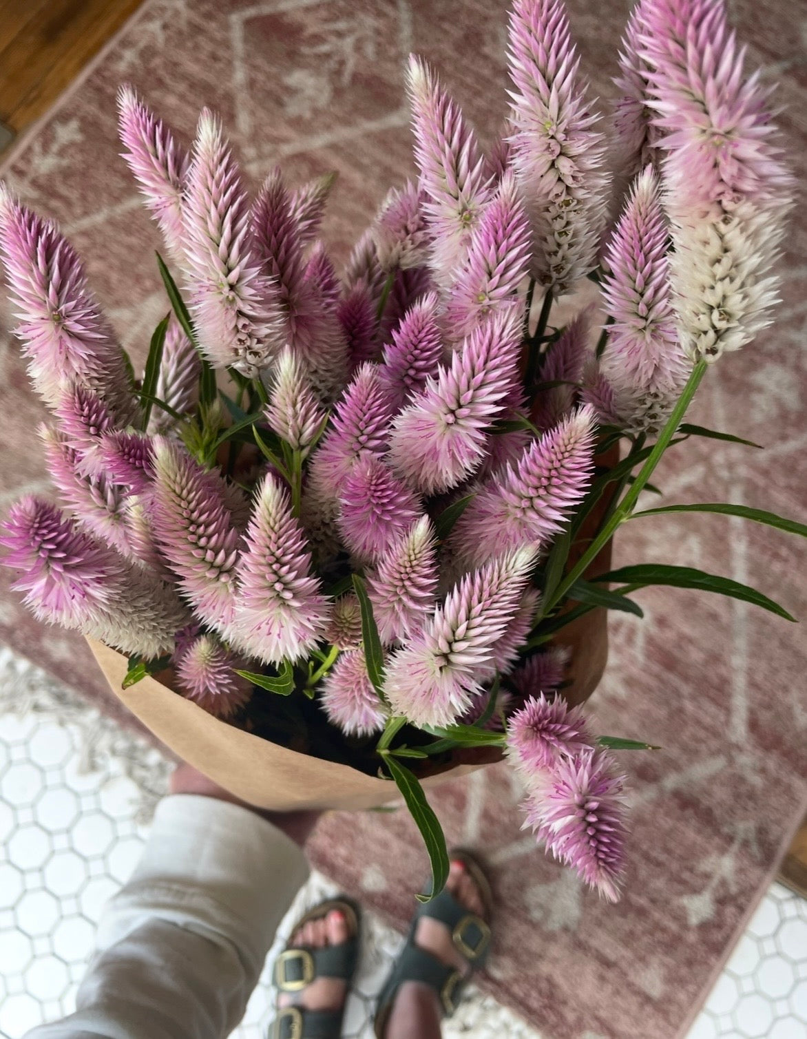 Grow your own Cut flower garden!