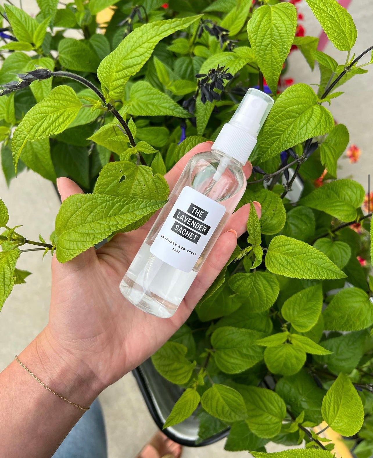 Lavender Bug Spray