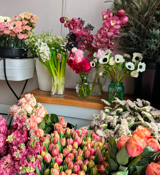 2026 Morning Sun Flower Farm CSA