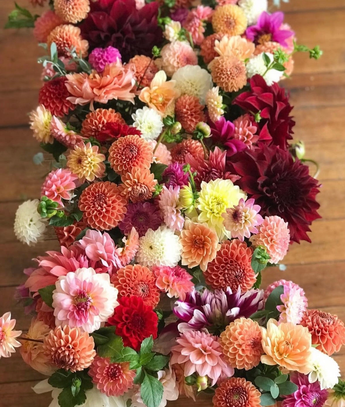 Dahlia Dividing Workshop 4/4 + 4/11
